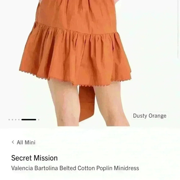 Secret mission, Valencia Bartolina dress  small, burnt orange knee length dress - Picture 13 of 14